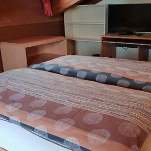 Przylegający pokój jednoosobowy na poddaszu na poddaszu